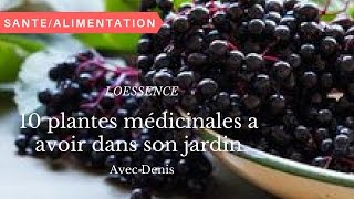 10 plantes médicinales a avoir dans son jardin [upl. by Haye923]