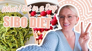 SIBO UPDATE Low FODMAP What I Eat in a Day for SIBO  Gluten Free  Dairy Free Recipes [upl. by Aniratak666]