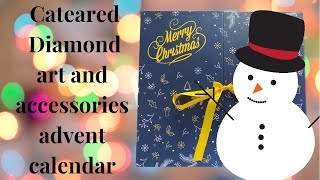 Diamond Painting advent calender 2021 Full unboxing from CATEARED [upl. by Naillimixam]