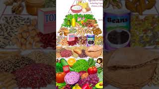 The Truth About Diets motivation amazingbenefits healthyfood [upl. by Ikey]