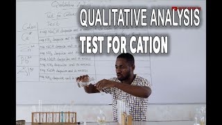 Qualitative Analysis of cation part 1 Chemistry Practicals [upl. by Elauqsap269]