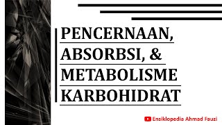 Pencernaan dan Metabolisme Karbohidrat Gambaran Umum [upl. by Eeslehc]