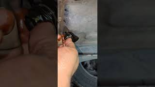 🛢 oil daak Nutt hyundai accent machine engine shorts youtubeshorts short [upl. by Walt792]