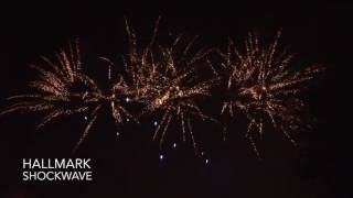 Firework Crazy  Shockwave by Hallmark Fireworks [upl. by Egidio]