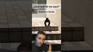 ¿Que animal ves aquí curiosidades supervivencia sabiasque [upl. by Oznarol34]