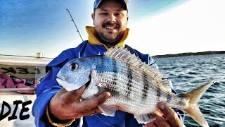 EP 8  Langebaan Lagoon Fishing  Stumpnose  Kraalbaai [upl. by Baggett]