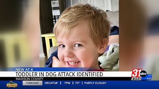 Madison County Sheriffs Office releases name of 2yearold New Hope boy killed in dog attack [upl. by Percy]