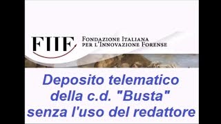 2 PCT Base il deposito telematico della cd quotbustaquot non direttamente con luso del redattore [upl. by Mahgem856]