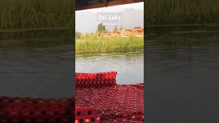 Dal Lake Shikara ride full tour Srinagar kashmir dallake [upl. by Simpson107]