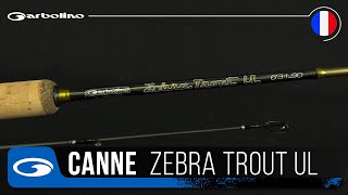 CANNE TRUITE GARBOLINO ZEBRA TROUT UL [upl. by Akimat]