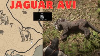 EFSANE JAGUAR AVI VE TILSIMI AÇMA LEGENDARY GİAGUARO HUNTİNG   Red Dead Redemption 2 Türkçe [upl. by Jermayne413]