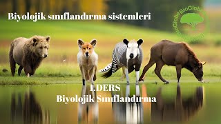 quotYENİ MÜFREDATquot 9Sınıf  Biyolojik sınıflandırma sistemleri [upl. by Bellina]