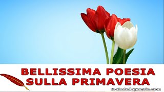 Umberto Saba  Il biancospino  Poesia sulla primavera [upl. by Acile]