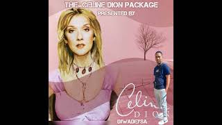 Celine Dion Love Doesnt Ask Why  DjWadeySA x DjLakeS Official Bootleg2024 [upl. by Irafat630]