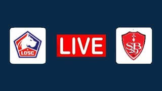 LOSC LILLE vs STADE BRESTOIS 29 LIVE  2024 LIGUE 1  🔴 Live match now [upl. by Mateusz]