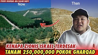 ISRAEL TERDESAK TANAM 250000000 POKOK GHARQAD reupload [upl. by Neevan]