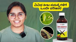 ವಿವಿಧ ಕೀಟ ಸಮಸ್ಯೆಗಳಿಗೆ ಒಂದೇ ಪರಿಹಾರ  One Solution for Multiple Pest Problems Control Aphid and Mites [upl. by Otrebcire]