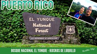 Visitando Unico Bosque Tropical Lluvioso quotEl Yunquequot Puerto Rico [upl. by Kristof604]