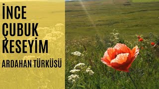 Neşe DEMİR  İnce Çubuk Keseyim HanakSulakçayır [upl. by Niawtna744]