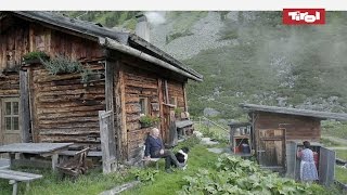 Leben auf der Alm  Almhütten in Tirol Österreich 🐮 [upl. by Sarita]