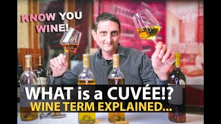 What is a Cuvée Wine Term Explained  Lets NOT STOP Sharing about VINO [upl. by Pasho]