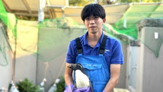 両目が見えない30歳の高齢ペンギンとquotひとつ年下quot29歳 飼育担当の絆「いつまでも長生きしてほしい」【世界ペンギンの日】 [upl. by Ahsienet]