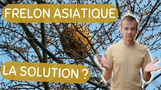 LA SOLUTION CONTRE LES FRELONS ASIATIQUES [upl. by Siskind]