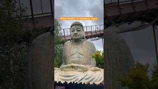 Giant Buddha 😻 of Kamakura Japan in chessington london short shorts buddha japan [upl. by Normandy195]