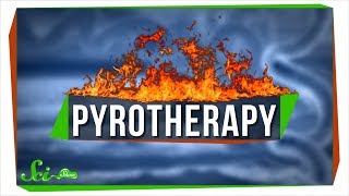 Pyrotherapy An Awful Nobel Prize for Infecting People with Malaria [upl. by Atoked45]