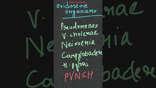 Oxidase test microbiological identification test biochemical test [upl. by Aneema659]