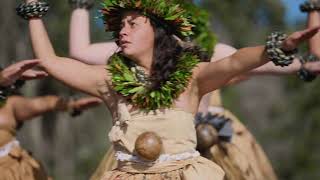 2021 Merrie Monarch Festival  Hālau o Kekuhi [upl. by Tab]