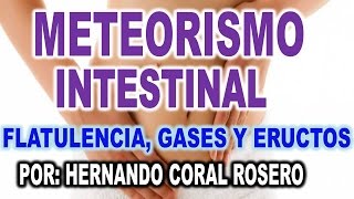 METEORISMO INTESTINAL  FLATULENCIA GASES Y ERUCTOS [upl. by Odnala]