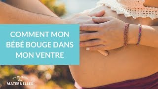 Comment mon bébé bouge dans mon ventre  La Maison des maternelles LMDM [upl. by Elleinnad]