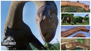 🦕 Every SAUROPOD and their skins in JURASSIC WORLD EVOLUTION [upl. by Niatsirk785]