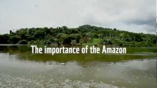 The importance of the Amazon to the world [upl. by Beller]