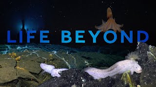 Life Beyond Harnessing science to safeguard our seas [upl. by Assenev]