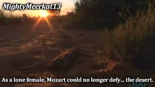 The sad death of Mozart With Subtitles [upl. by Nelra]