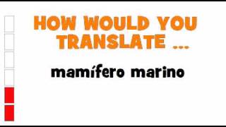 SPANISH TRANSLATION QUIZ  mamífero marino [upl. by Kehsihba]