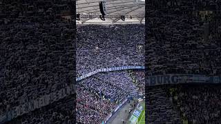 Magdeburg Fans in Hamburg 20102024 [upl. by Elletsirhc]