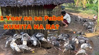 Sa mahigit isang taon Kumikita na ba Kami sa Pabo [upl. by Loveridge640]