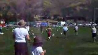 Crazy Jack Russell Race [upl. by Stig]