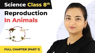 Class 8 Science Chapter 9  Reproduction In Animals Full Chapter Explanation Part 1 [upl. by Nylrehs]