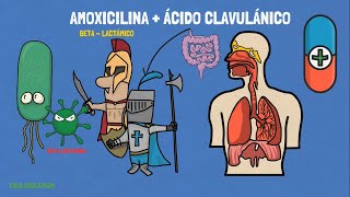 AMOXICILINA CON ÁCIDO CLAVULÁNICO  PARA QUÉ SRIVE LA AMOXICILINA [upl. by Ajat]