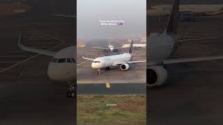 Vistara Last Journey vistara you will always be in our ❤️ airlines airindia tata singpore [upl. by Forrer999]