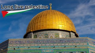 Leve palestina song without music vocals only [upl. by Alikahs835]