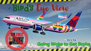 Delta Airlines Banning people for exercising the 1st Amendment  Birds Eye View [upl. by Aveline544]