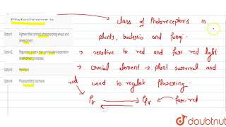 Phytochrome is [upl. by Einad]