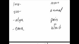 Gen Bio 2 low tech review  prefix and suffix review [upl. by Aras]