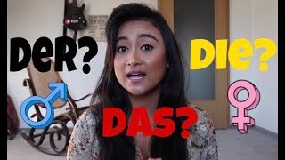 Tips membedakan jenis kelamin pada kata benda di dalam Bahasa Jerman 🇩🇪  belajarbahasajerman [upl. by Philomena]