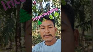 Best Intercropping  horticulture agriculture farming [upl. by Ikin]